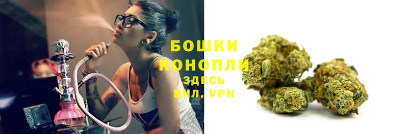 закладка  Северо-Курильск  Канабис SATIVA & INDICA 